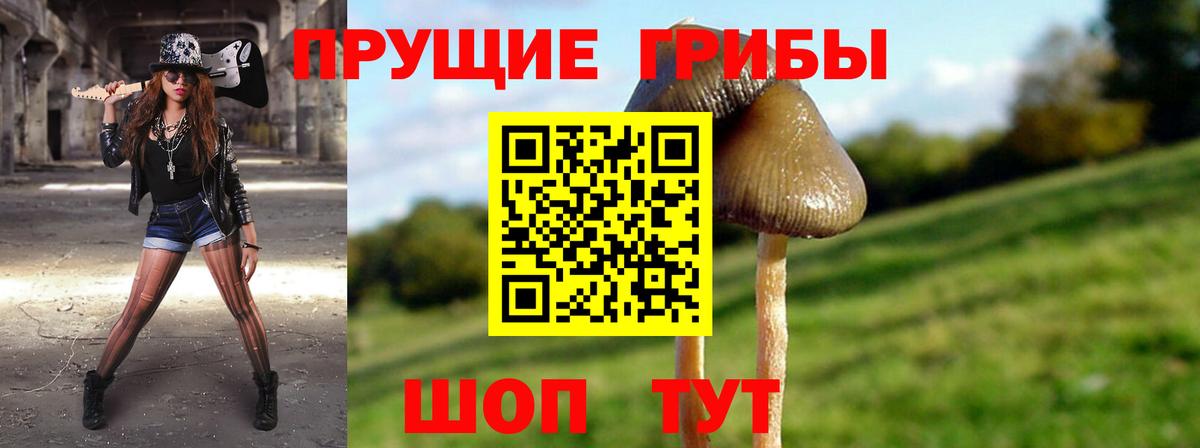 Галлюциногенные грибы Cubensis  Вход с VPN  Лянтор  Галлюциногенные грибы GOLDEN TEACHER 